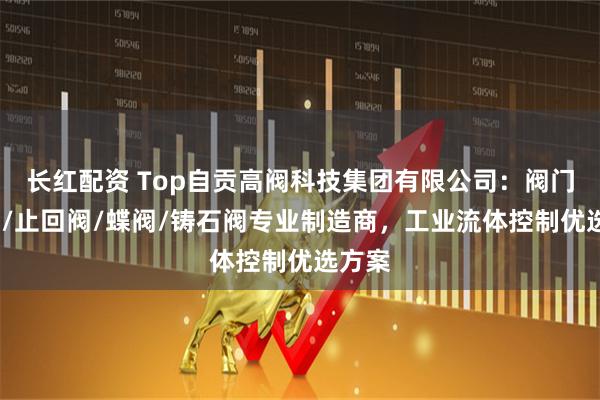 长红配资 Top自贡高阀科技集团有限公司:阀门/闸阀/止回阀/蝶阀/铸石阀专业制造商,工业流体控制优选方案