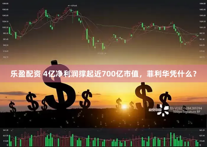 乐盈配资 4亿净利润撑起近700亿市值,菲利华凭什么?